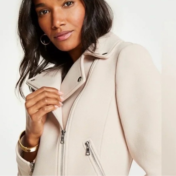 Ann Taylor Blush Moto Jacket - Picture 2 of 9
